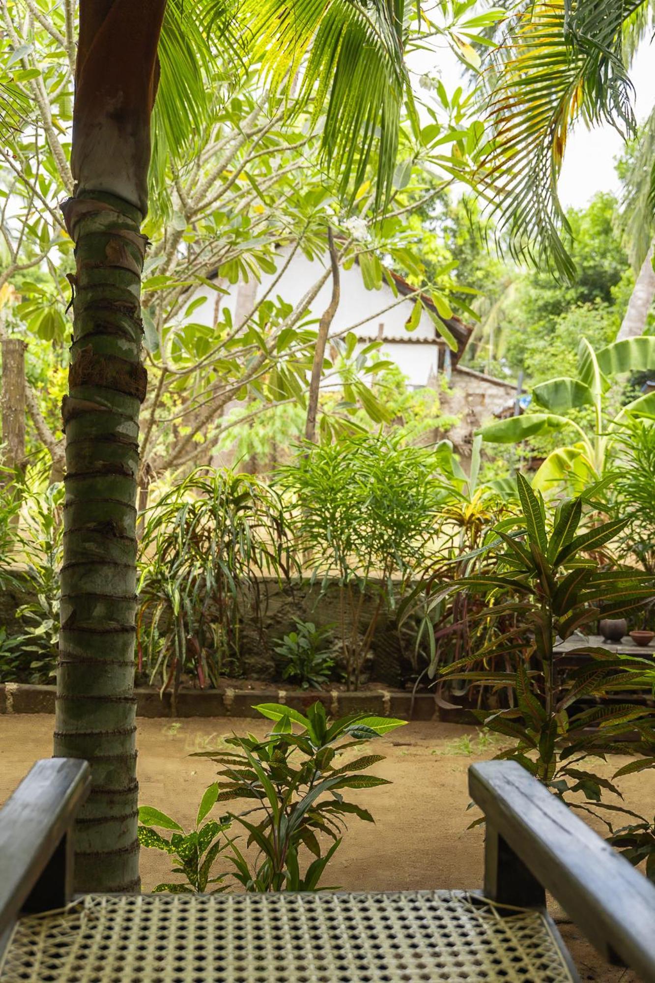 Hostel Agra Arugambay Arugam Bay Zewnętrze zdjęcie